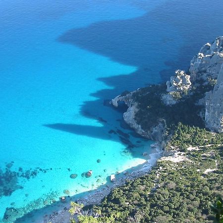 B&B Issicoro Baunei Dış mekan fotoğraf